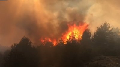 Пожар пламна в района на разложко село (ВИДЕО)