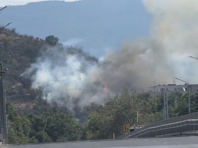 Пожар пламна в подножието на Младежкия хълм в Пловдив