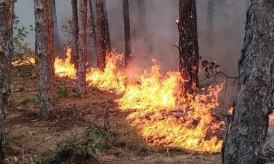 Пожар избухна край Нови хан (ВИДЕО)