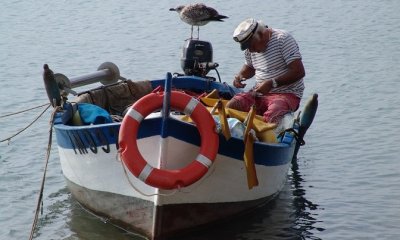 Паламудът излезе на юг, но водата трябва още да се разхлади (СНИМКИ)