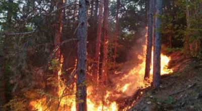 Борбата с пожарите в България продължава
