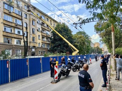 В СТОЛИЦАТА: Рязането на дървета на ул. "Опълченска" започна (СНИМКИ)