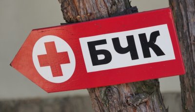 ИЗМАМА В СОЦИАЛНИТЕ МРЕЖИ: Набират средства от името на БЧК