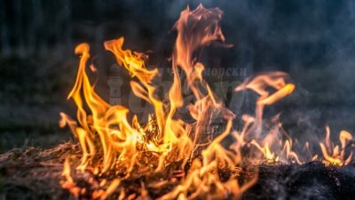 Полицията задържа извършител на умишлен палеж в Смолянско