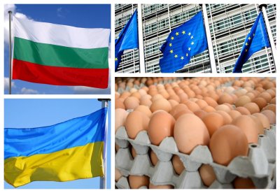 България отказва вноса на украински яйца