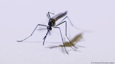 Изменението на климата представлява заплаха за разпространението на инфекции