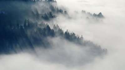 Какво ще бъде времето днес