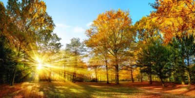 Силни ветрове, разкъсана облачност и температури до 22&deg;C очакват България