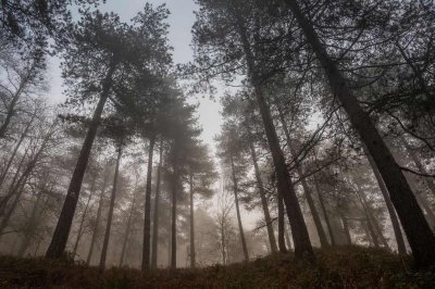 Облачно и мъгливо време днес, с валежи на места и температури до 10&deg;