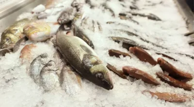 Масови проверки на морските продукти дни преди Никулден