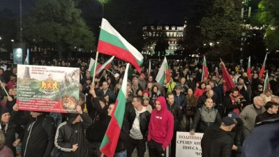 Протестите срещу &bdquo;Оръжията и човекът&ldquo; достигнаха до Европейския парламент