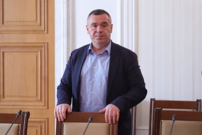 Вторите проби за чума във Велинград потвърдени: Животните подлежат на унищожаване