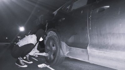 Известни екоактивисти пак в действие, този път с автонаказателно шоу
