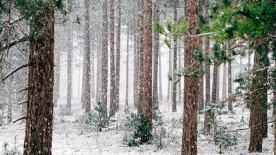 Днес: слънце на запад, облаци на изток