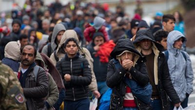 Австрия започва проверки за отнемане на убежище на сирийци след падането на режима на Асад