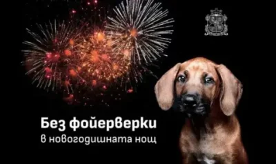 София заменя фойерверките със светлинно шоу за Нова година
