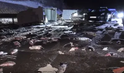 7 тона жива пастърва се разсипа на пътя след катастрофа в Германия