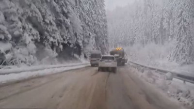 Паднало дърво затисна такси в Смолянско: Сняг и затруднения в региона