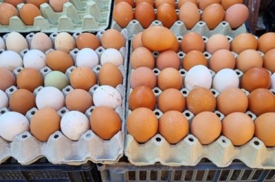 Цените на яйцата в САЩ достигнаха исторически високи нива