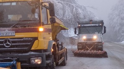 Интензивен снеговалеж в София: 170 машини почистват, временно спрян градски транспорт към Витоша
