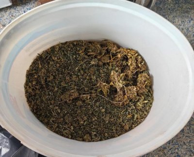 Иззеха близо килограм марихуана в Старозагорско (СНИМКИ)