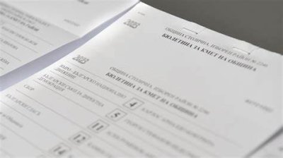 Кметове разследват изчезнали бюлетини от вота