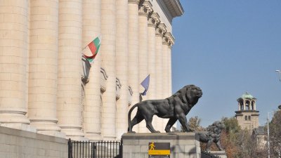 3 протеста срещу насилниците на животни днес
