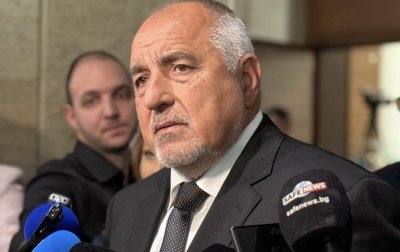 Борисов: Изкълчих си пръста и гласувах за Радостин Василев да е зам.-председател на НС (ВИДЕО)