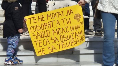 Граждани на Варна излязоха на протест в защита на животните