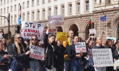 Четвърти протест срещу насилието над животни пред парламента