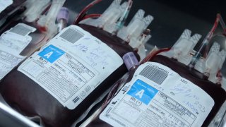 ГДБОП неутрализирана престъпна група, подбирала и привличала донори на кръв