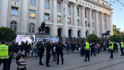 Протест срещу новите промени в Семейния кодекс: Децата не са формула (ВИДЕО + СНИМКИ)