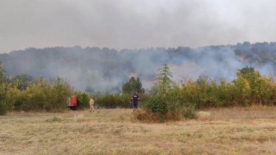Пожар вилнее в Кюстендилско &ndash; над 50 декара гора в пламъци (СНИМКИ)