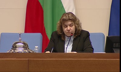 Кога и дали Киселова ще внесе предложението за референдум в парламента