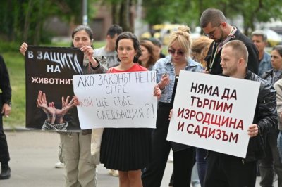Протест в София с искане за ефективни присъди срещу насилието над животни