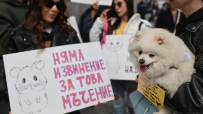 Премиерът Желязков открива кръгла маса срещу насилието над животни