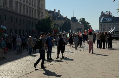 Протест в защита на Лева се провежда в този момент пред парламента (СНИМКИ+ВИДЕО)