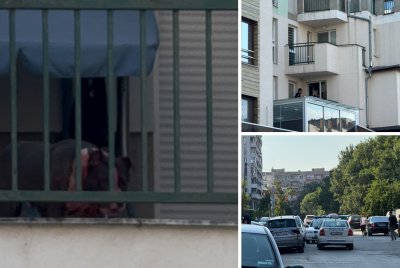 Питбул нападна собственика си в &bdquo;Люлин&ldquo;, мъжът крещи от апартамента си, кучето беше застреляно от полицията (ВИДЕО 18+)