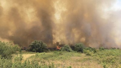 Пожарът край река Илийна в Рила се възобнови, очаква се хеликоптер за гасене