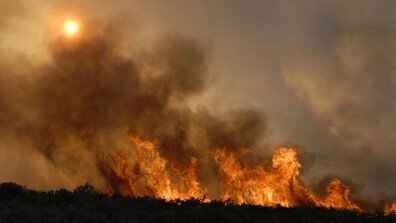 Локализиран е големият пожар край видинските села