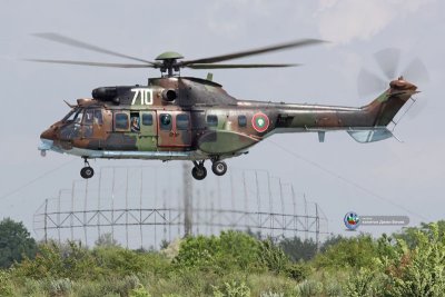   Пожар в Рила: Въздушна техника се включи в гасенето на пламъците