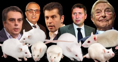Миши Рай