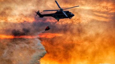 Първият хеликоптер за помощ кацна в Пловдив, огънят приближава от Северна Македония