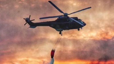 Пожарът в Пирин се разпали отново, два &bdquo;Кугар&ldquo;-а и шведска авиация се включиха в гасенето