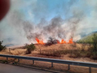 Пожар избухна на АМ &bdquo;Тракия&ldquo; край Пазарджик, движението е ограничено