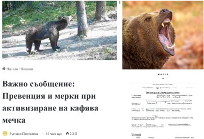 Ако оцелееш &ndash; пишеш жалба: абсурдът при нападение от мечка в Троянска област