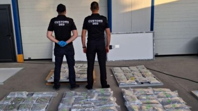 Митничари откриха марихуана за близо 1 млн. лева в соларни панели (СНИМКИ)