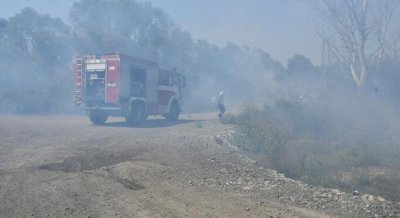Пожар пламна в незаконно сметище край Паничарево