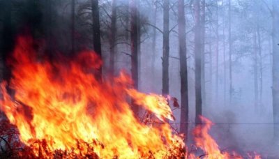 Пожарите в Пирин, Шишманци и Стара Загора са овладени