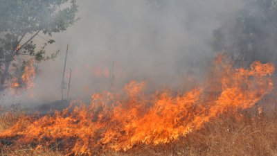 Пожарът в Сакар, обхванал близо 13 000 декара, е локализиран